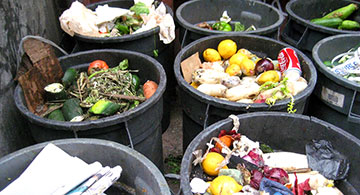 Thoughtfully Thinking about Food Waste