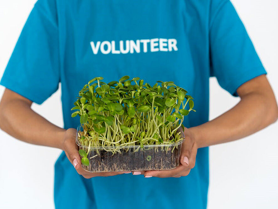 Opportunities to Volunteer